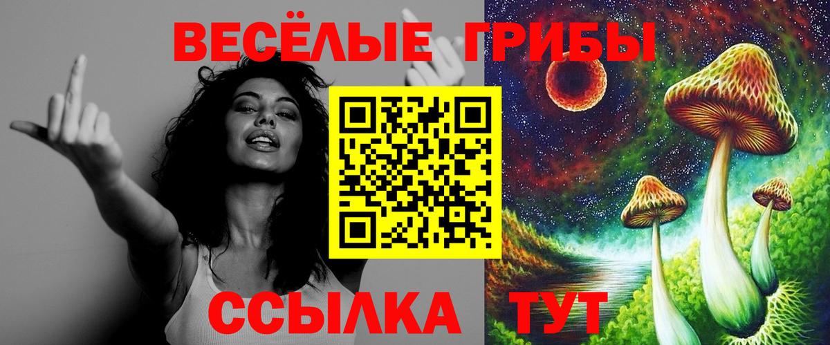 Галлюциногенные грибы Magic Shrooms  Псилоцибиновые грибы Psilocybine cubensis  Новодвинск  Вход с VPN 